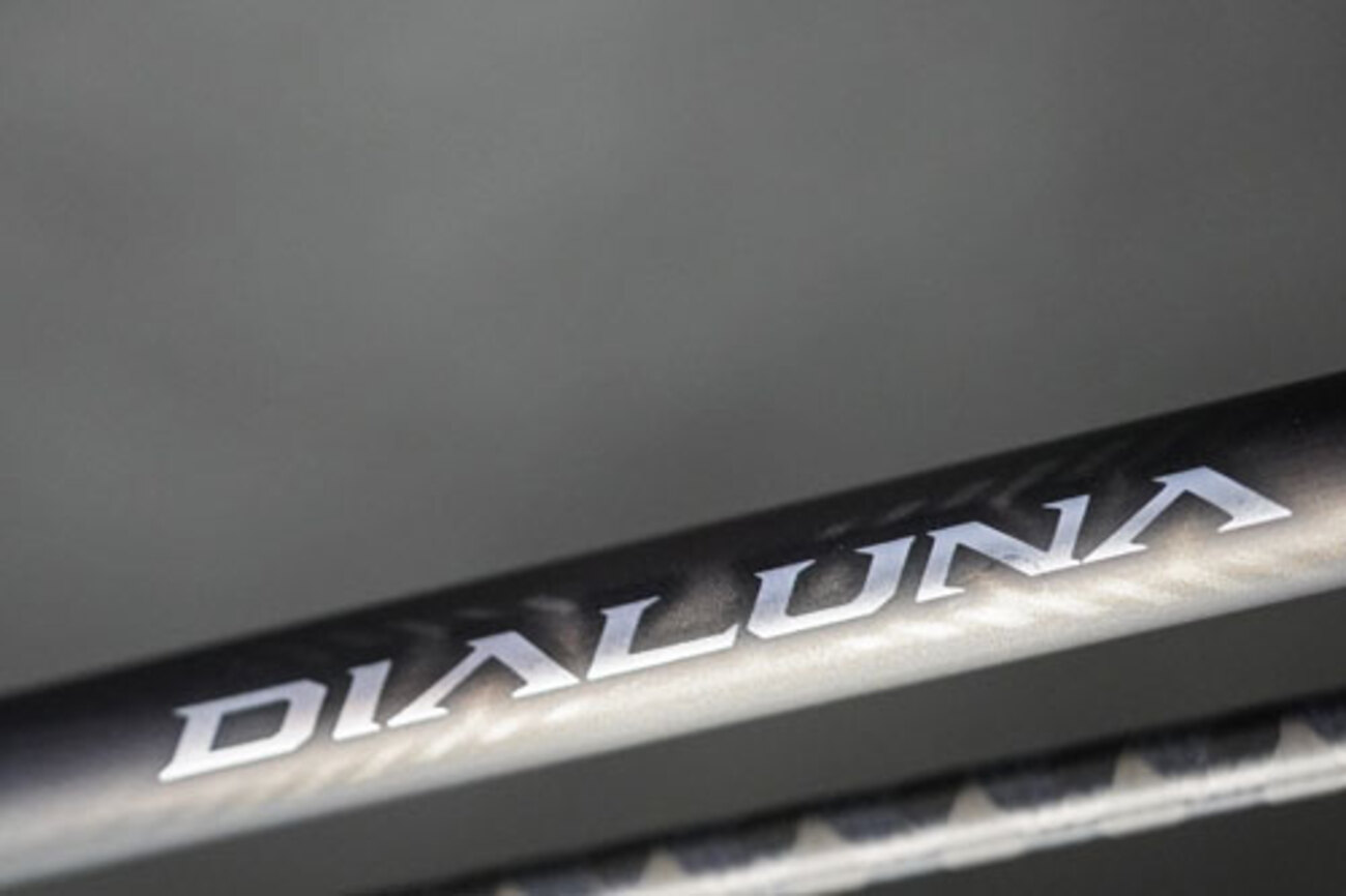 ロッドインプレ 23ディアルーナ S86L-S - 基本は鯰とナマズ釣り