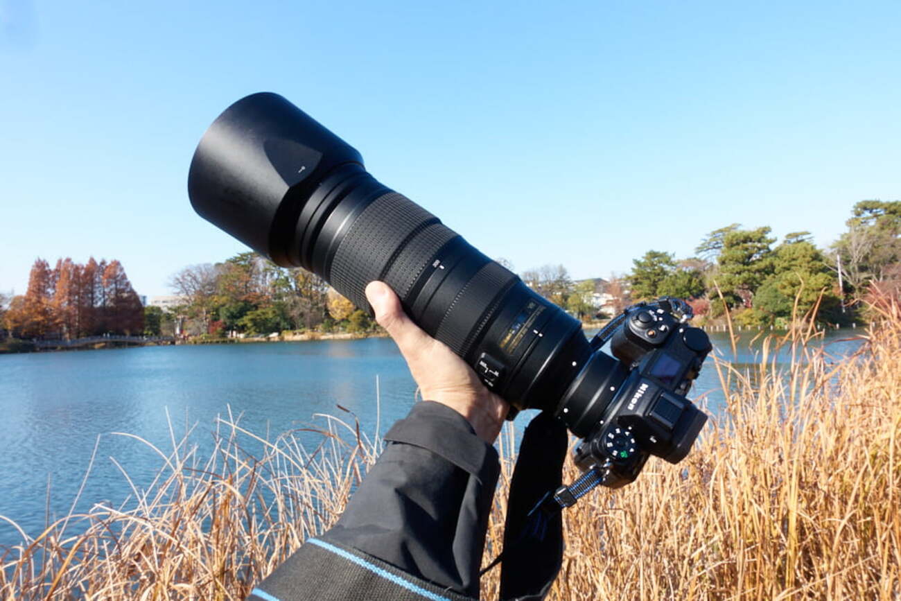 Nikon Z6IIを購入したので、望遠レンズAF-S NIKKOR 200-500mm f/5.6E