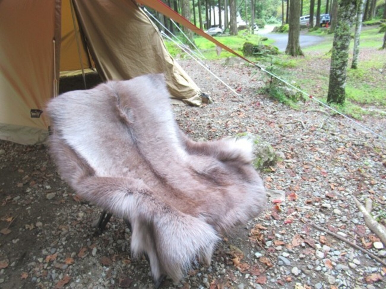 トナカイ 毛皮 ラグ 【公式通販】