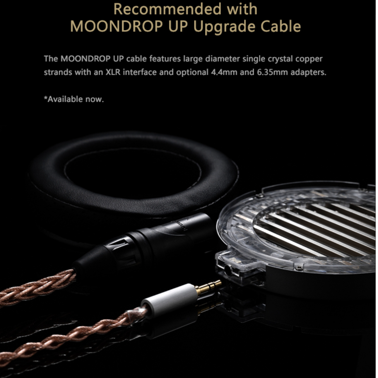 backend=imagemagick;version=1;