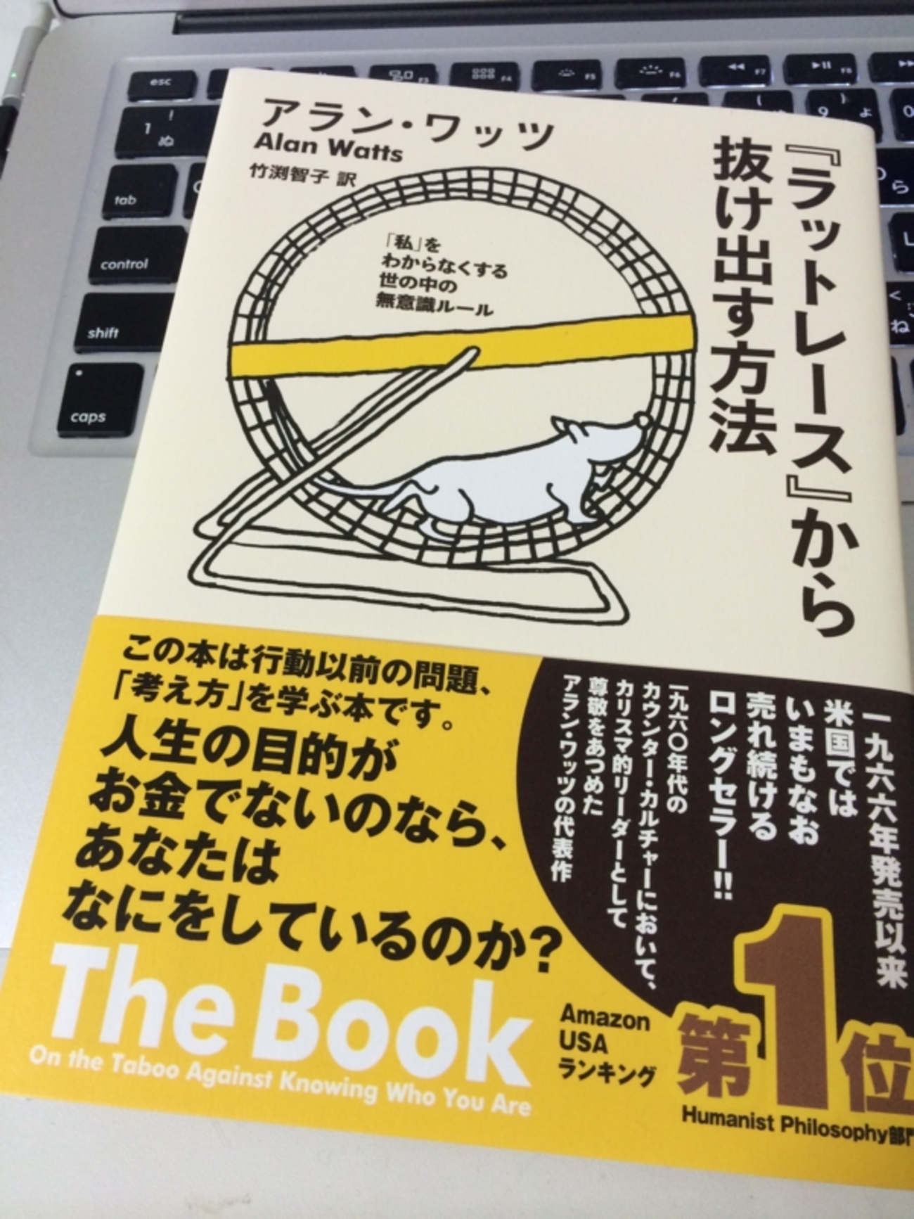 backend=imagemagick;version=1;