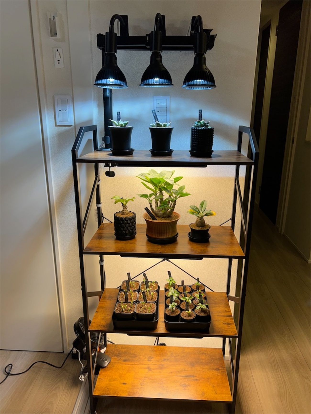 保存版】植物棚を増設したので作り方をまとめてみました - つばさブログ