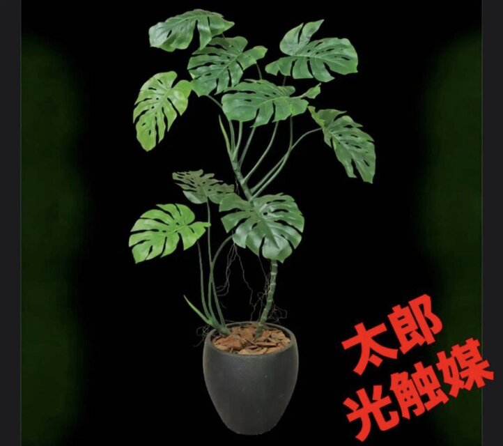 光触媒 人工観葉植物 ウォールグリーン フェイクグリーン モンステラ