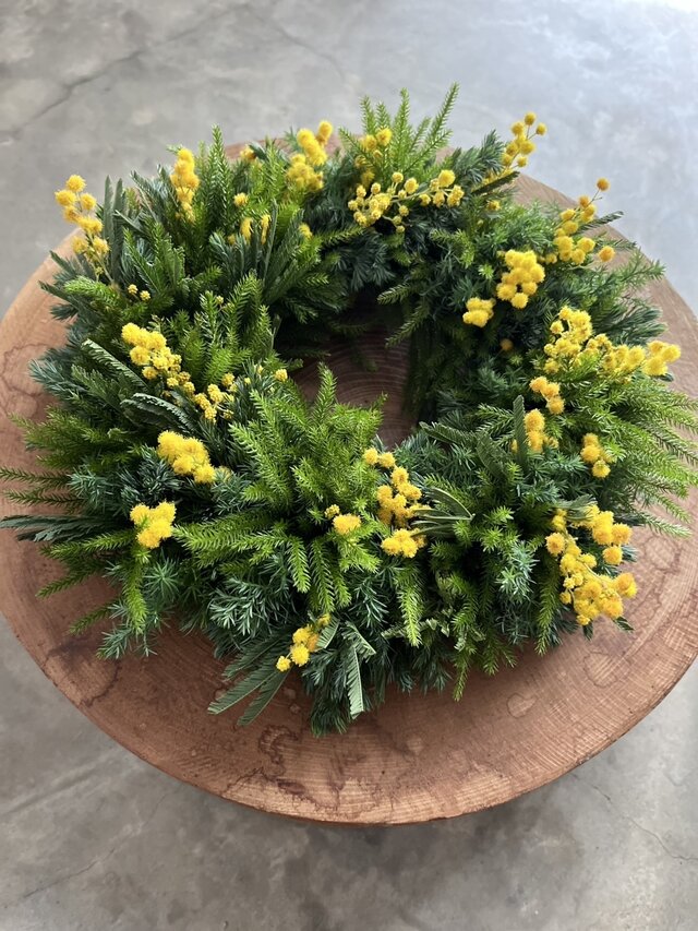 早春♬ミモザ.ミランドールとタチカズラのリース ~イタリアから