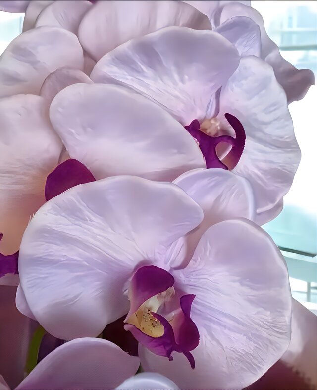 光触媒 人工観葉植物 ウォールグリーン フェイクグリーン 胡蝶蘭7845