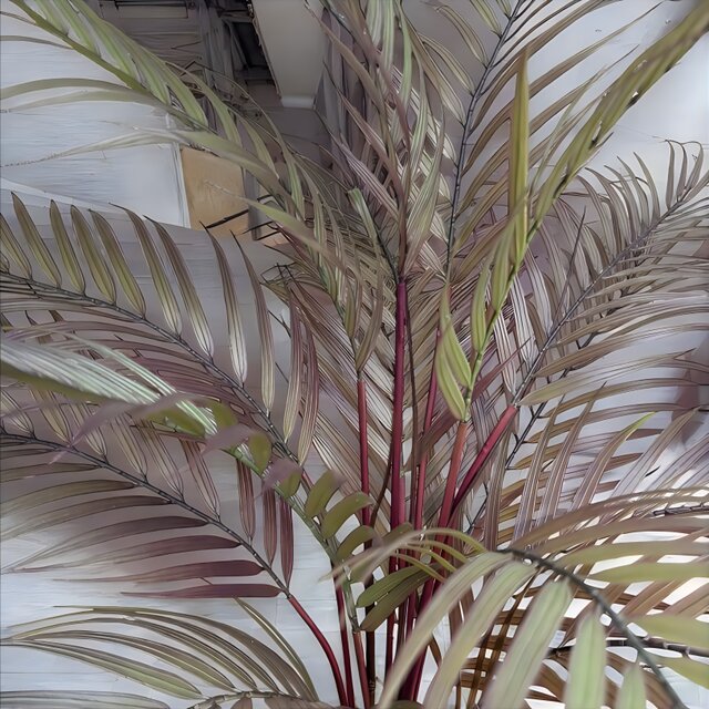 光触媒 人工観葉植物 ウォールグリーン フェイクグリーン アレカヤシ茶