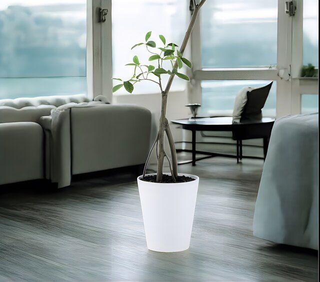 光触媒 人工観葉植物 ウォールグリーン フェイクグリーン ガジュマル