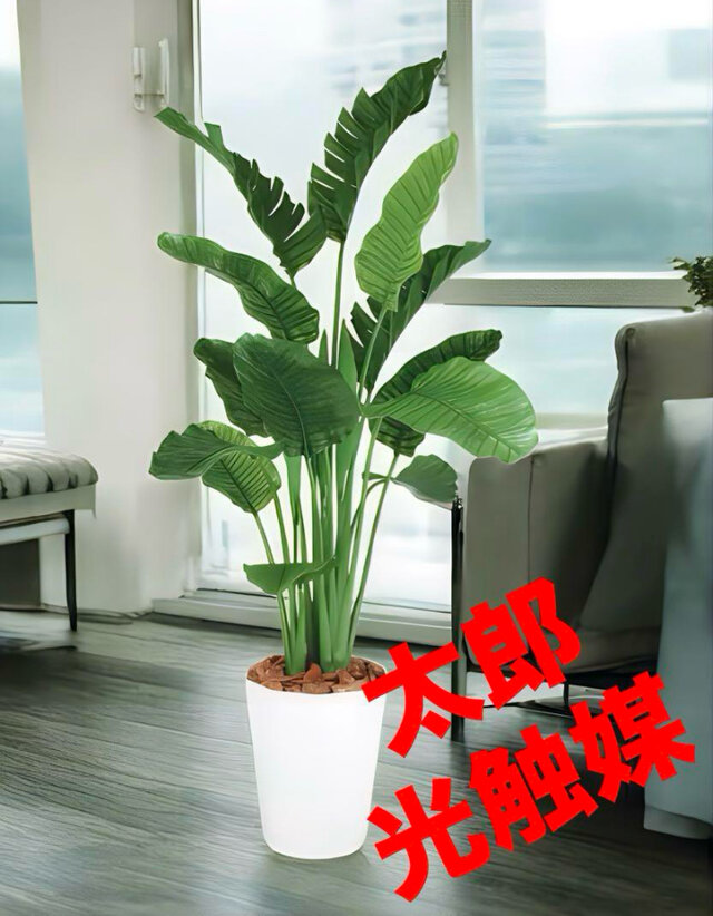 光触媒 人工観葉植物 ウォールグリーン フェイクグリーン ストレリチア