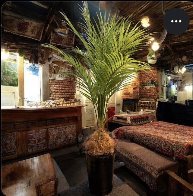 光触媒 人工観葉植物 ウォールグリーン フェイクグリーン アレカヤシ