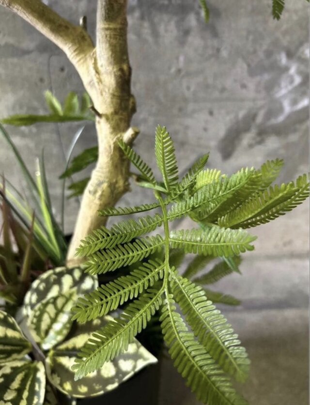 光触媒 人工観葉植物 ウォールグリーン フェイクグリーン