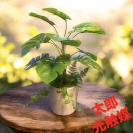 光触媒 人工観葉植物 ウォールグリーン フェイクグリーン 壁掛け70482
