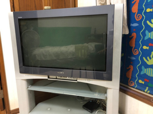 ソニー大型ブラウン管TV 液晶テレビ36インチ (ごーきゅーするだワン