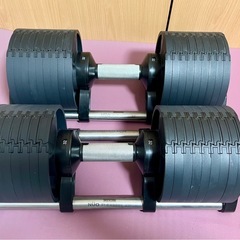 FLEXBELLの中古が安い！激安で譲ります・無料であげます｜ジモティー