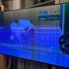 ハイセンス テレビ 液晶割れの中古が安い！激安で譲ります・無料で