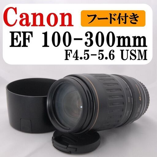 美品】Canon EF 100-300mm 望遠レンズ 一眼レフカメラ 卒業式 (Naoko