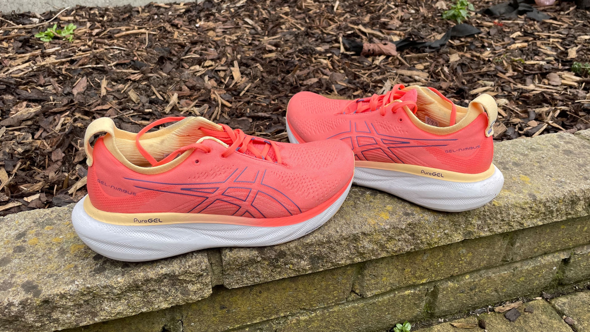 Asics Gel Nimbus 25 review | Live Science