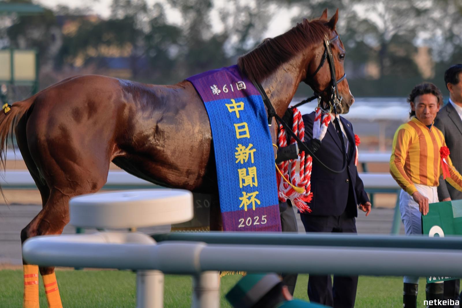 シェイクユアハート (Shake Your Heart) | 競走馬データ - netkeiba