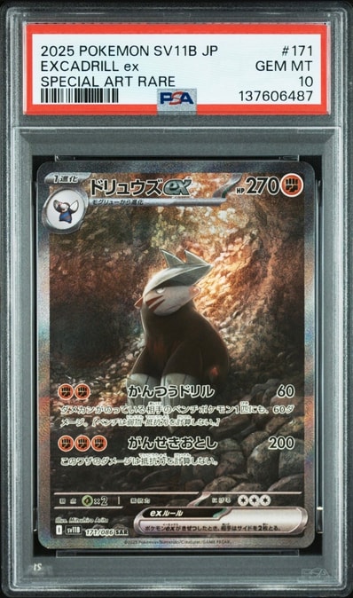 ガラルの仲間たち SR[S8b 258/184](ハイクラスパック「VMAX