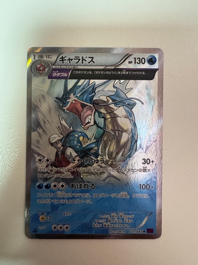 ギャラドス R [XY7 021/081](拡張パック「バンデットリング」)の新品