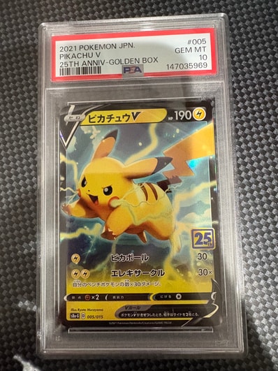 あったかピカチュウ: プロモ[XY-P 095/XY-P](プロモーションカード「XY