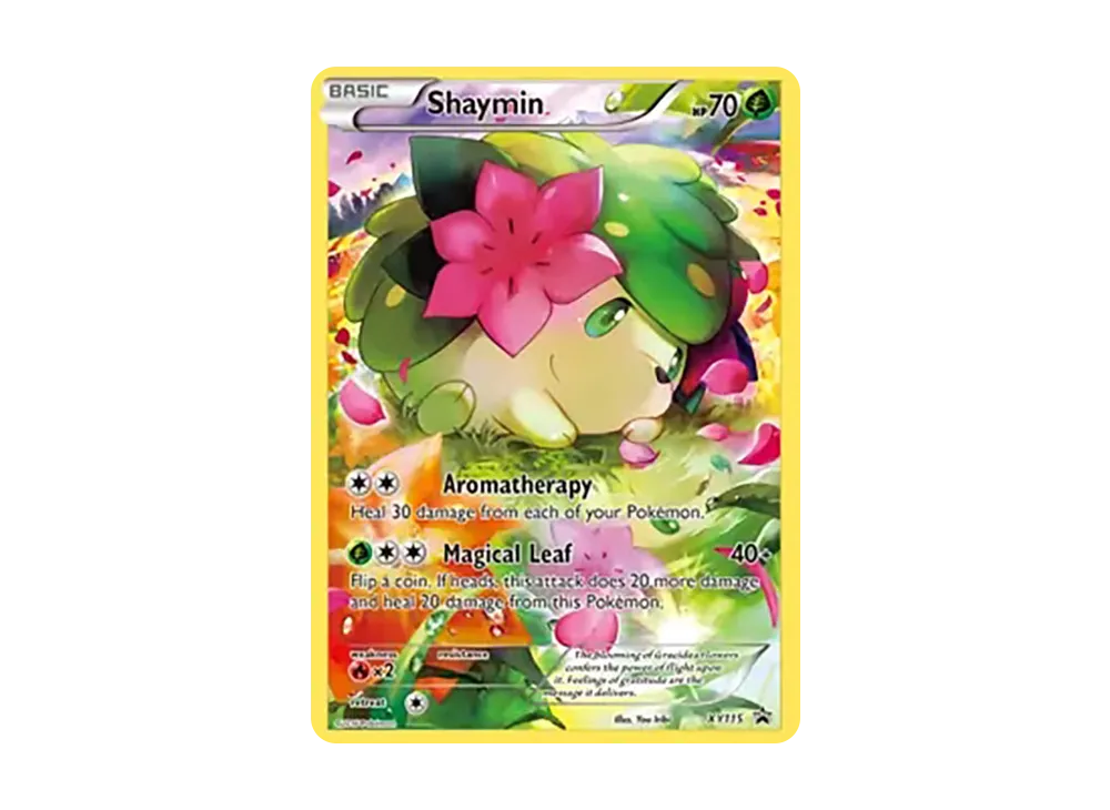 pkmn-tcg-en-XY-P-XY115-ot.webp