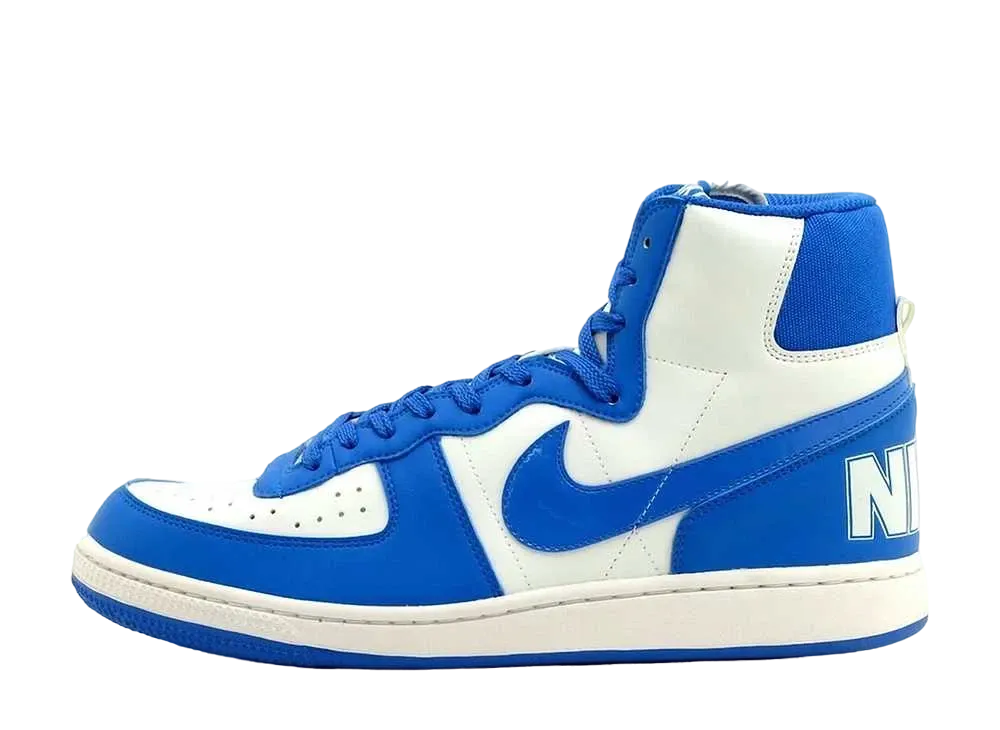 Nike Terminator High Basic 