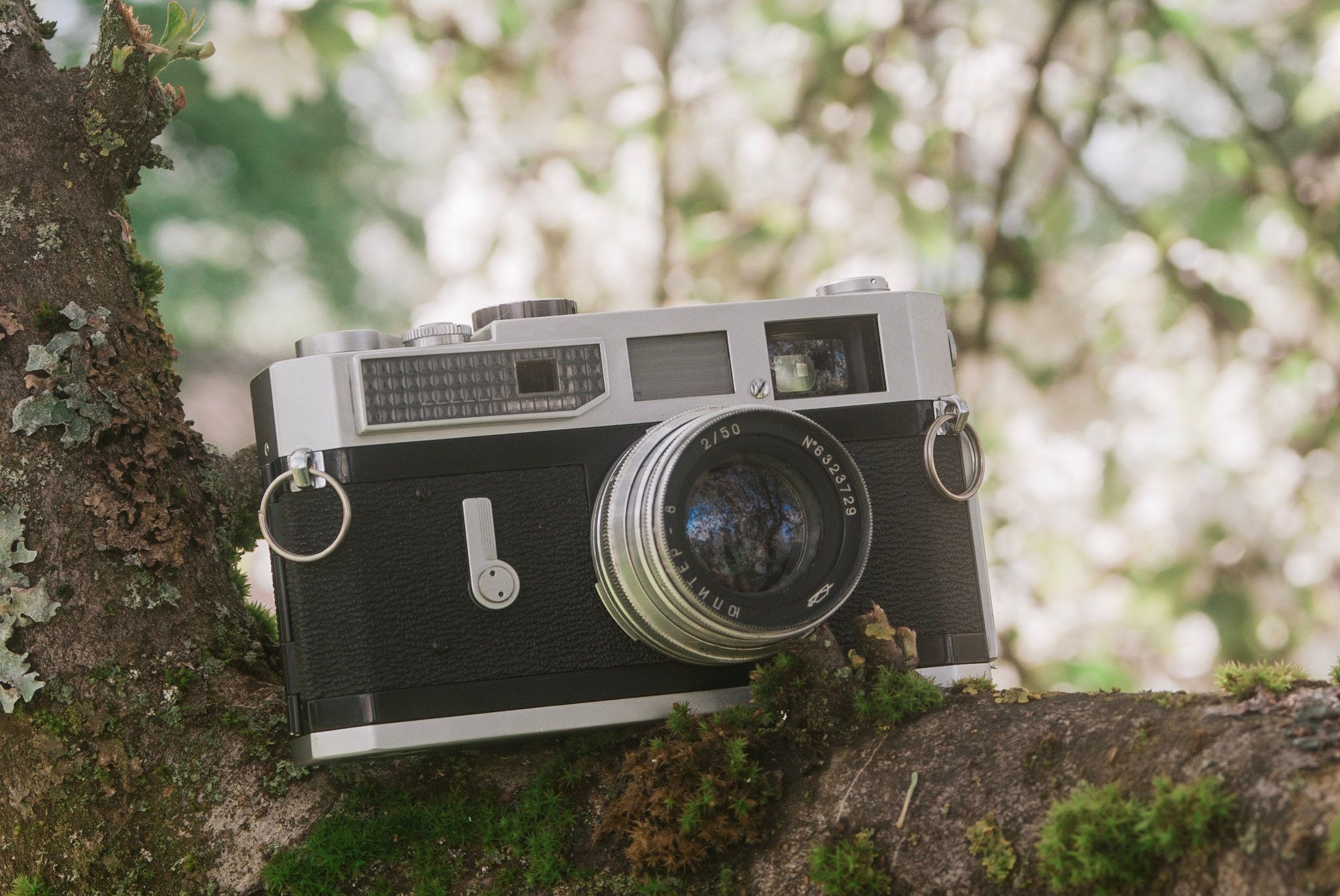 Canon Model 7 LTM Camera Review - 50mmF2