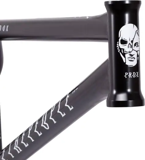 Wethepeople Paradox Freestyle BMX Frame | SkatePro