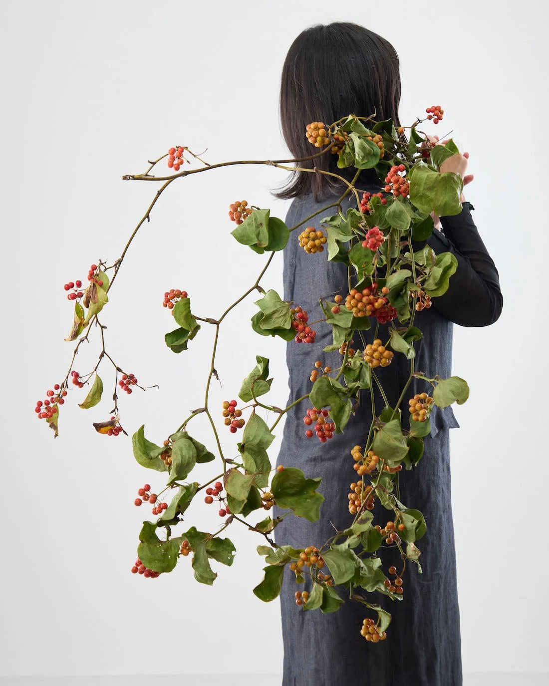 ドライフラワー】赤い実が可愛い『サンキライ』ってどんな植物