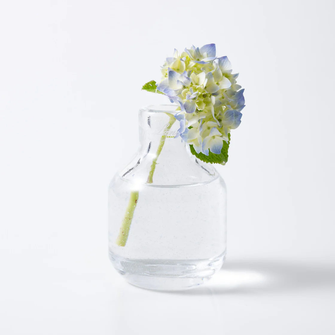 iAnKtPis_1120x_b0f0b740-3b6c-