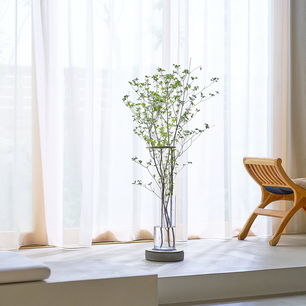 枝もの定期便 100cmプラン ｜ 多彩に飾れるスタンダードサイズ