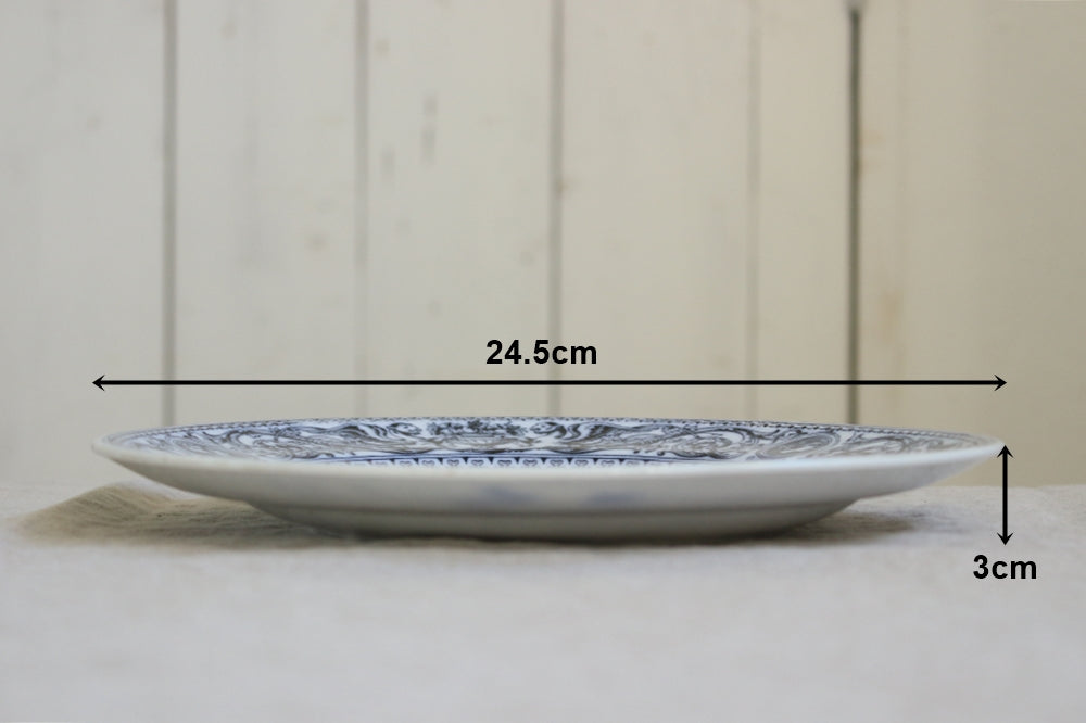 5枚あり！エミールブルジョワが依頼したミントン社平皿（直径24.5cm