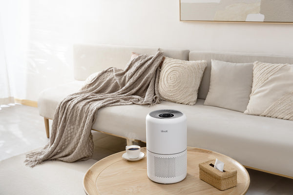 花粉対策におすすめのLevoit空気清浄機の選び方
