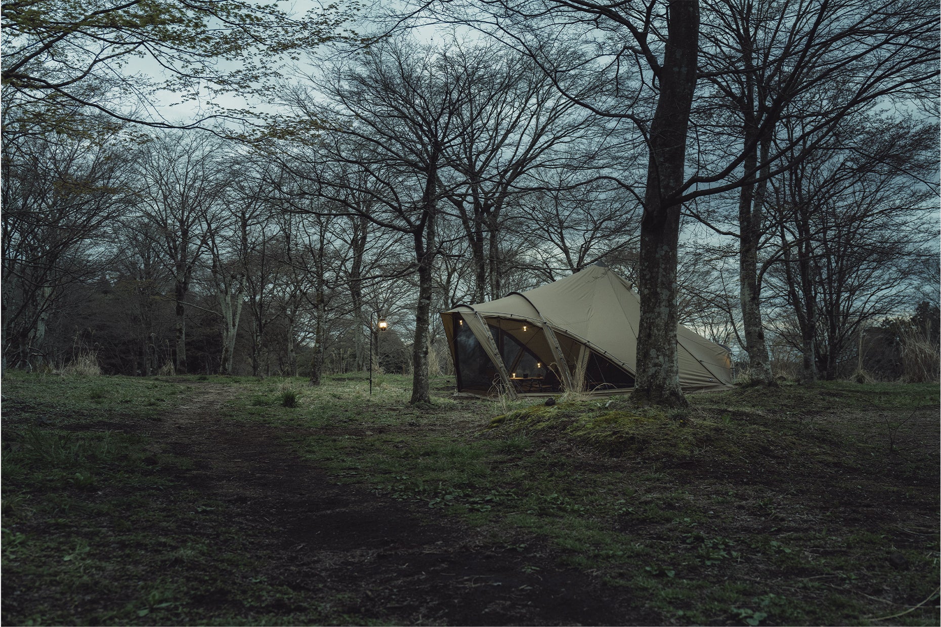 LOLO | PRODUCTS | ZANE ARTS