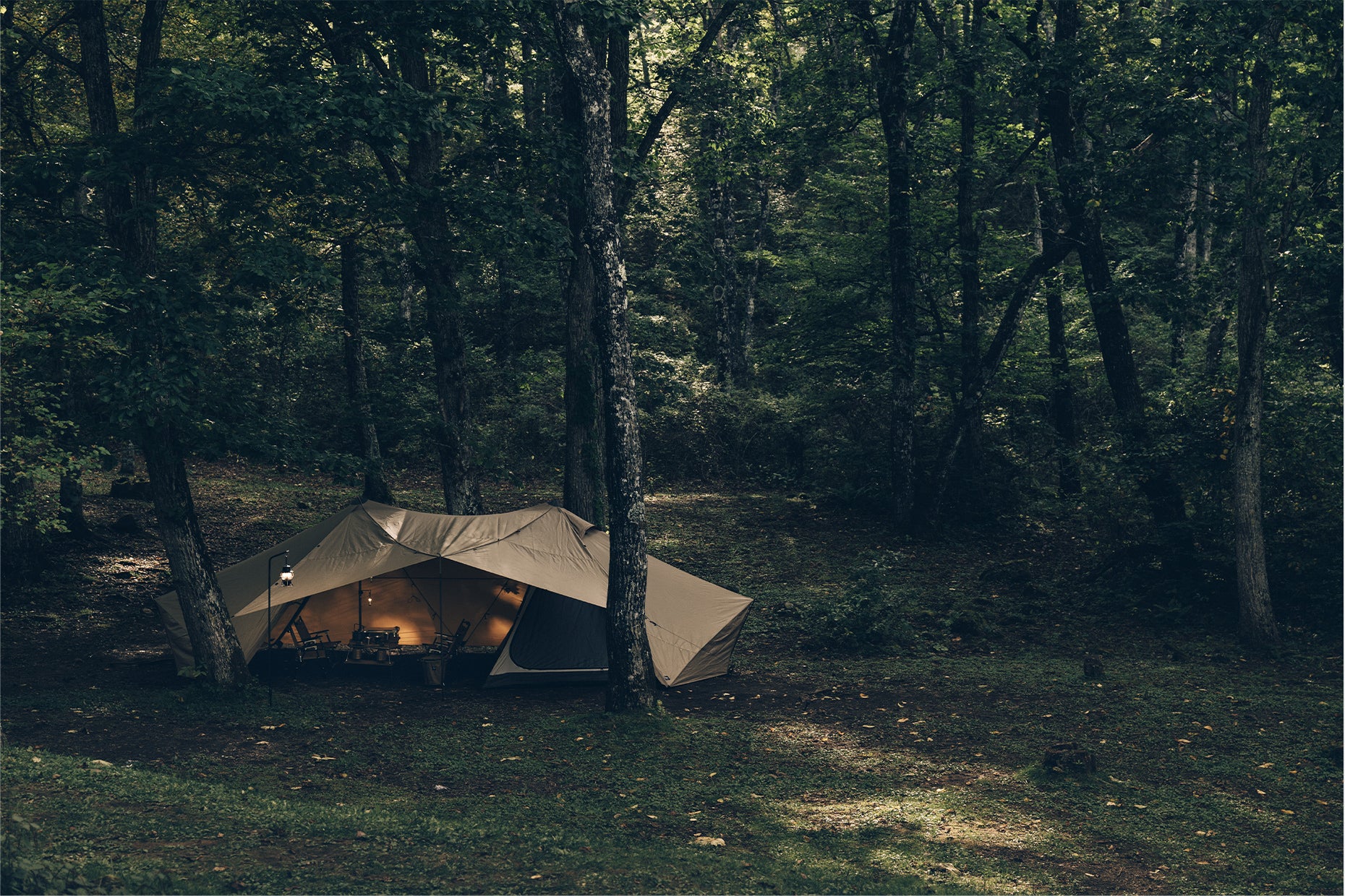 GIGI-2 | PRODUCTS | ZANE ARTS