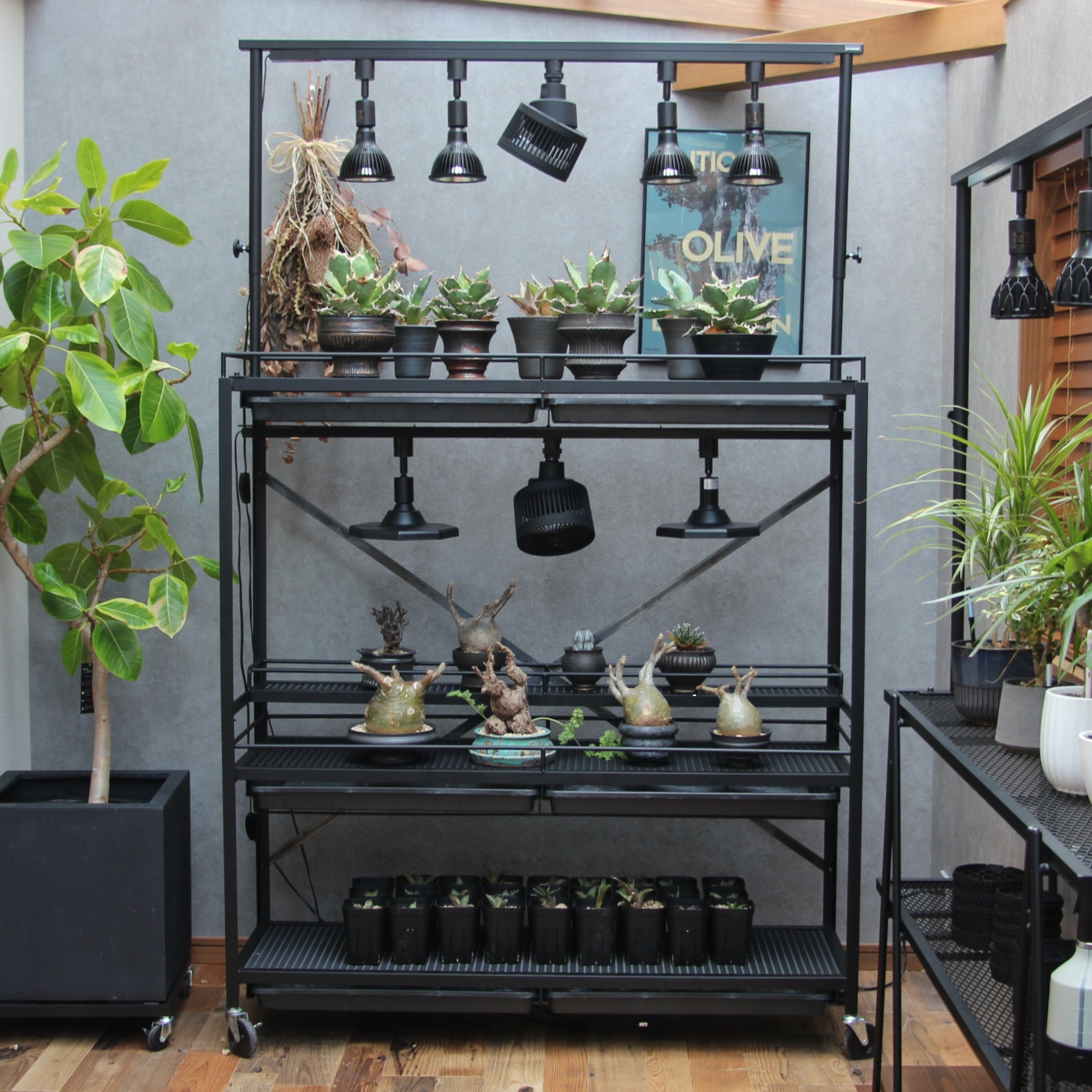 植物育成、これで完結】選べるスターターセット3種類が登場！