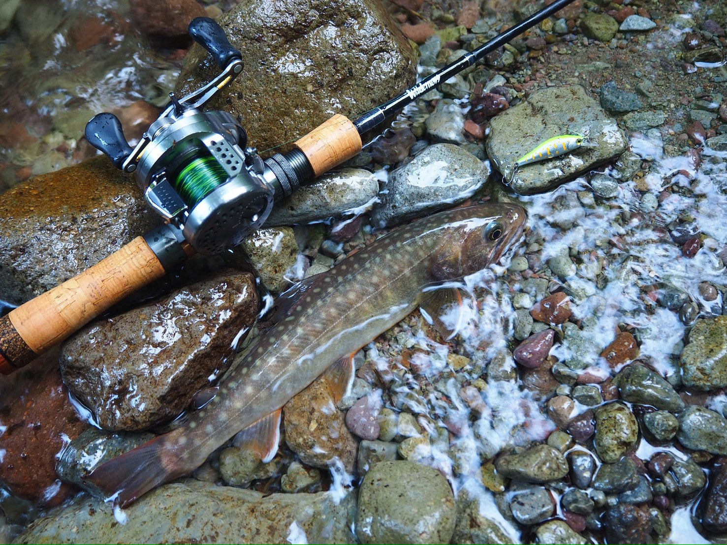 ウィルダネス ネイティブトラウトルアーロッド HOKI 409C-5 & 410S-5