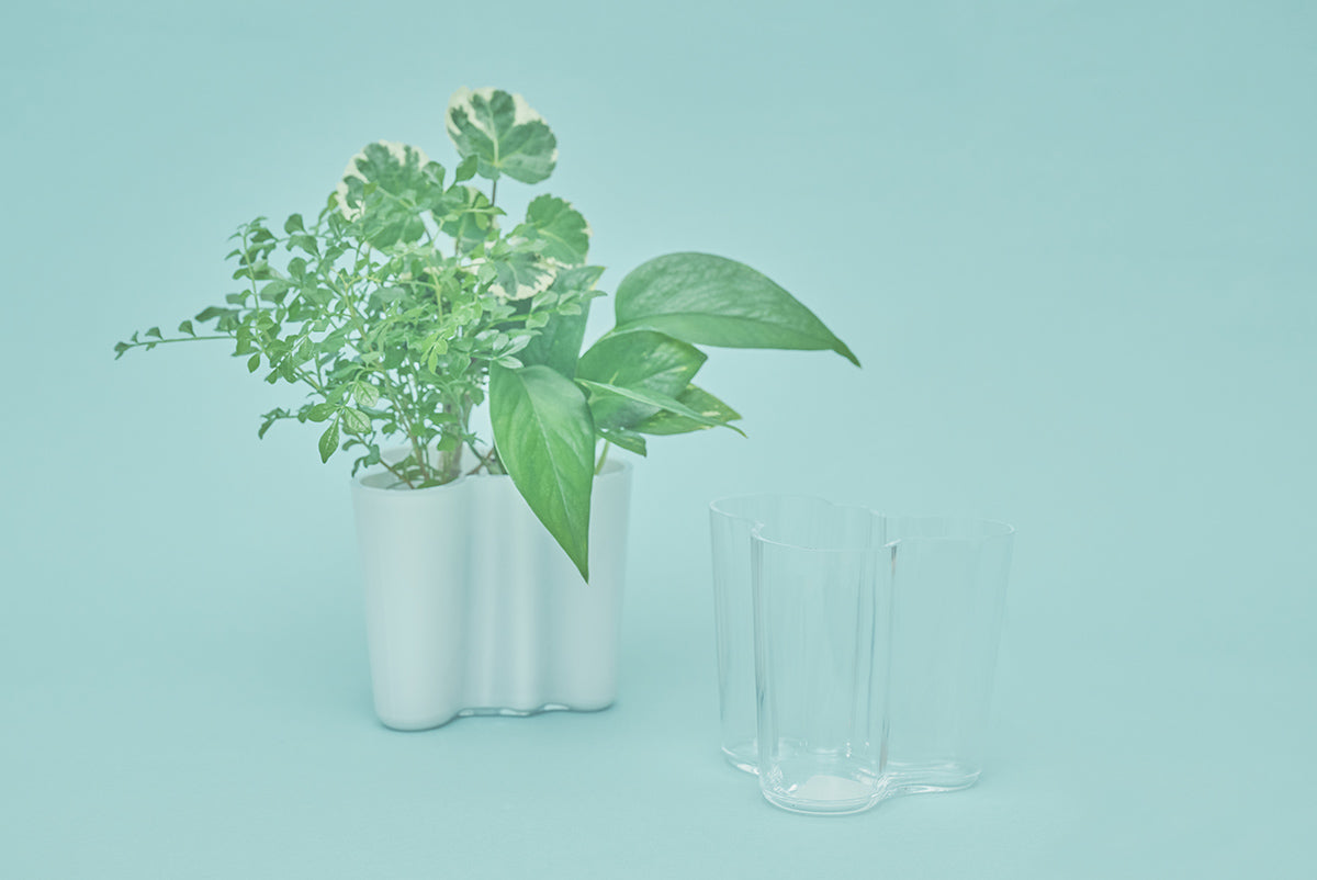 アアルトベースなど「IITTALA」プロダクト発売のお知らせ – &Green