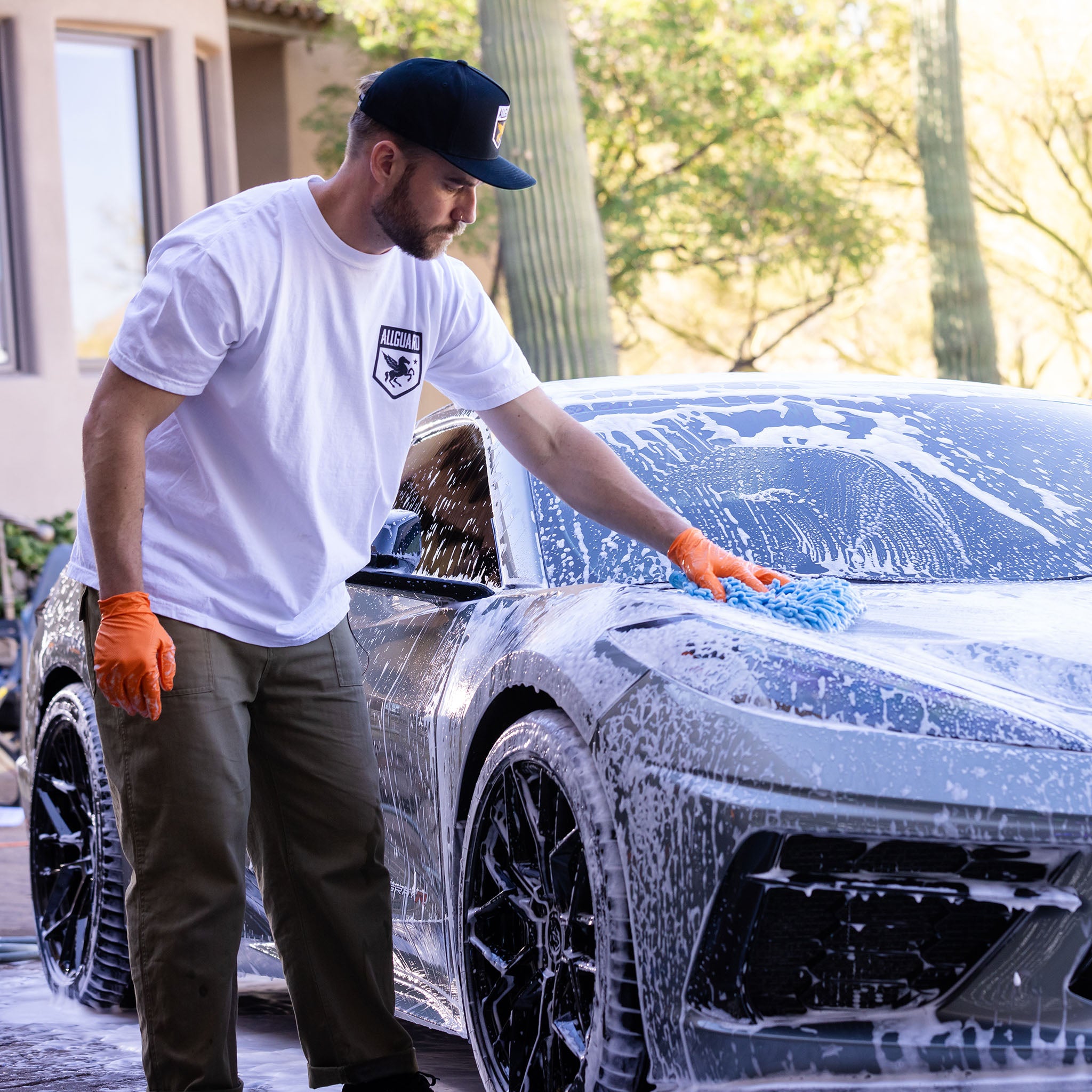 Interior Car Cleaner Spray with UV Protection (Clutch SILK) – AllGuard