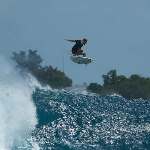 チッパ・ウィルソン ニューボーンズ Lサイズ シングルタブ（FUTURES