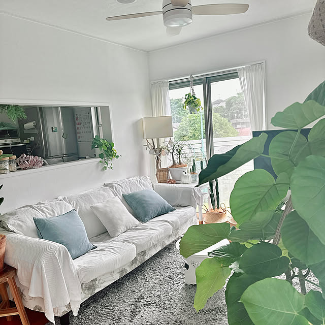 VENTOTA合同会社 VENTOTA シーリングファンライト リモコン付 省エネ