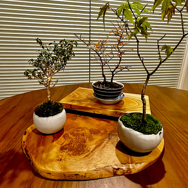 花台 木製 透かし彫り 唐草 飾り台 敷台 香炉台 盆栽台 楽天市場】2