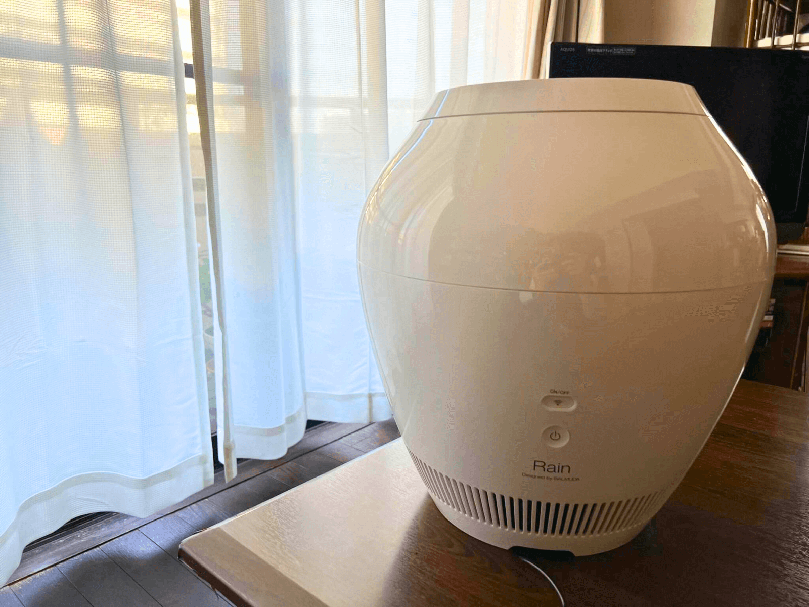バルミューダの加湿器 Rain実機レビュー！ おしゃれと加湿機能を