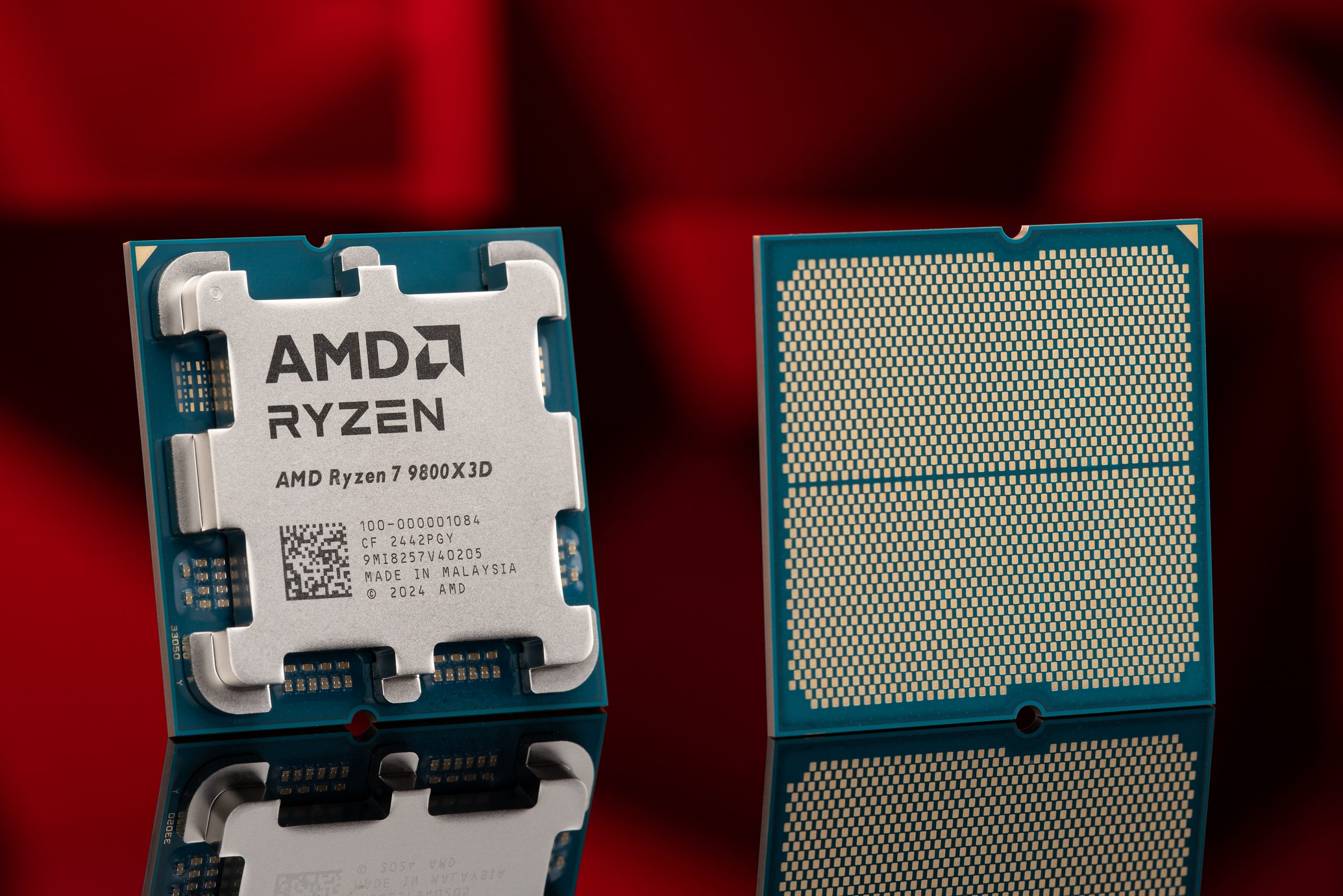 AMD Ryzen 7 9800X3D Is Now The Most Popular 
