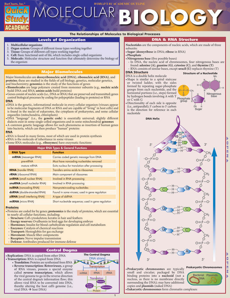 QuickStudy Molecular Biology Laminated Study Guide (9781423218739)