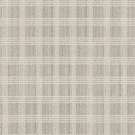 Anderson Tuftex Departures Collab ZZ341 Residential Carpet is