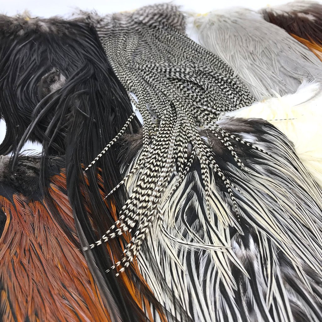 Metz Saddle Hackle - Fly Tying Materials - Umpqua Feather Merchants