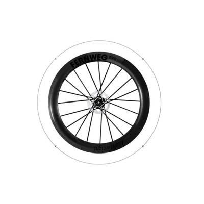 2025 Lightweight Fernweg EVO PRO Tubeless Wheelset