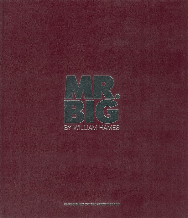 MR.BIG(ミスター・ビッグ)『MR.BIG写真集』2月20日発売 - TOWER