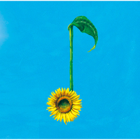 決意の朝に／Aqua Timez｜音楽ダウンロード・音楽配信サイト mora